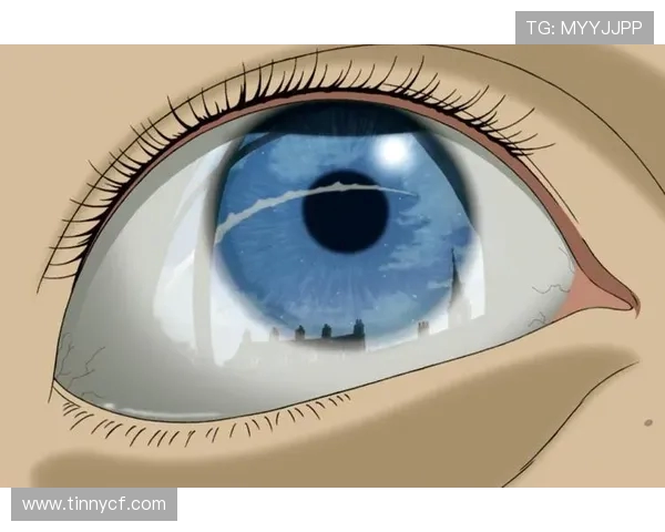 从高空跃入碧波深处探寻跳水运动的力量与美学之融合