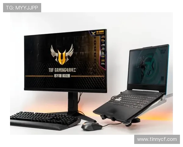 RulerADC在电竞赛场的崛起与未来发展趋势分析