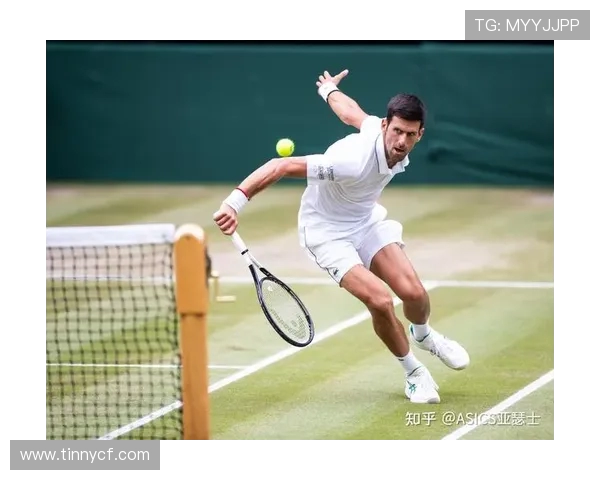 从草地到红土探寻网球运动的魅力与冠军精神的永恒传承