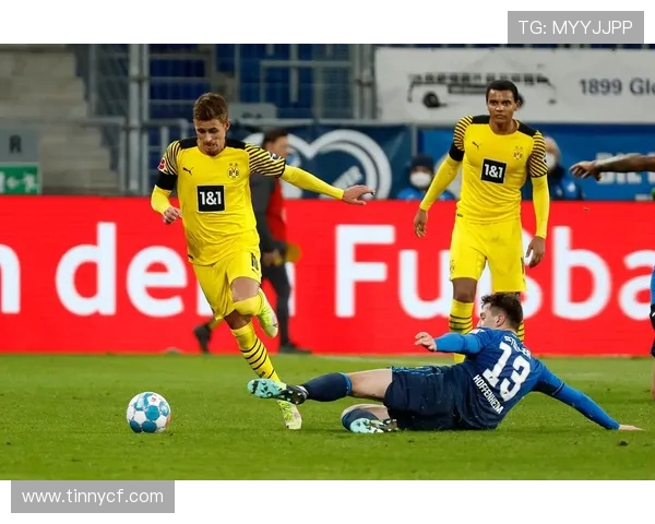 多特蒙德主场迎战霍芬海姆期待精彩对决与胜利之争